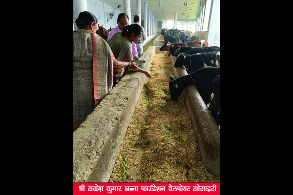 Gau Sewa (Cow Care) initiative by Sh. Rakesh Kumar Khanna Foundation